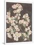 Gramercy White