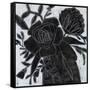 Canvas Black