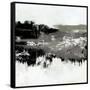 Canvas Black