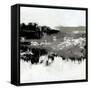 Canvas Black