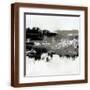 Brown Frame