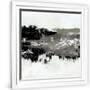Gramercy White