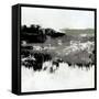 Canvas Black