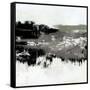 Canvas Black