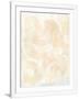 Gramercy White