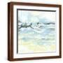 Brown Frame