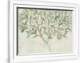 Gramercy White