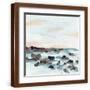 Brown Frame