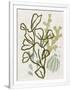 Gramercy White