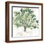 Brown Frame