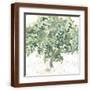 Brown Frame