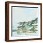 Brown Frame