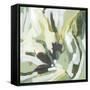 Canvas Black