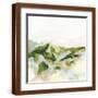 Brown Frame