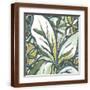 Brown Frame