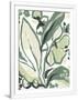 Gramercy White