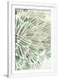 Gramercy White