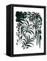 Canvas Black