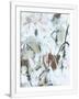 Gramercy White