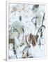 Gramercy White