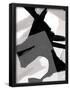 Essential Black