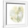 Gramercy White