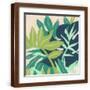 Brown Frame