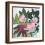 Brown Frame