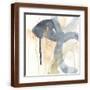 Brown Frame