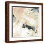 Brown Frame