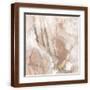 Brown Frame
