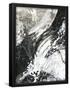 Essential Black