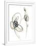 Gramercy White