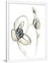 Gramercy White