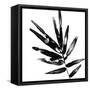 Canvas Black