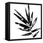 Canvas Black