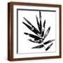 Brown Frame