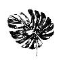 Just the Print