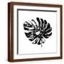 Brown Frame