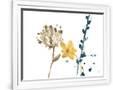Gramercy White