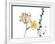 Gramercy White