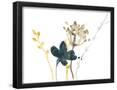 Essential Black