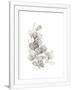 Gramercy White