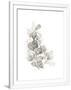 Gramercy White