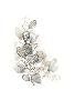 Just the Print