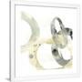 Gramercy White