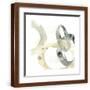 Brown Frame