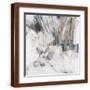 Brown Frame