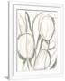 Gramercy White