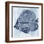 Brown Frame